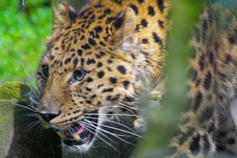 Fotoclubje Blijdorp 2008-100.jpg